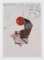 Disembodied Information, 2024, Photocollage, 53,5 x 38,5 cm 54_ksc60.jpg